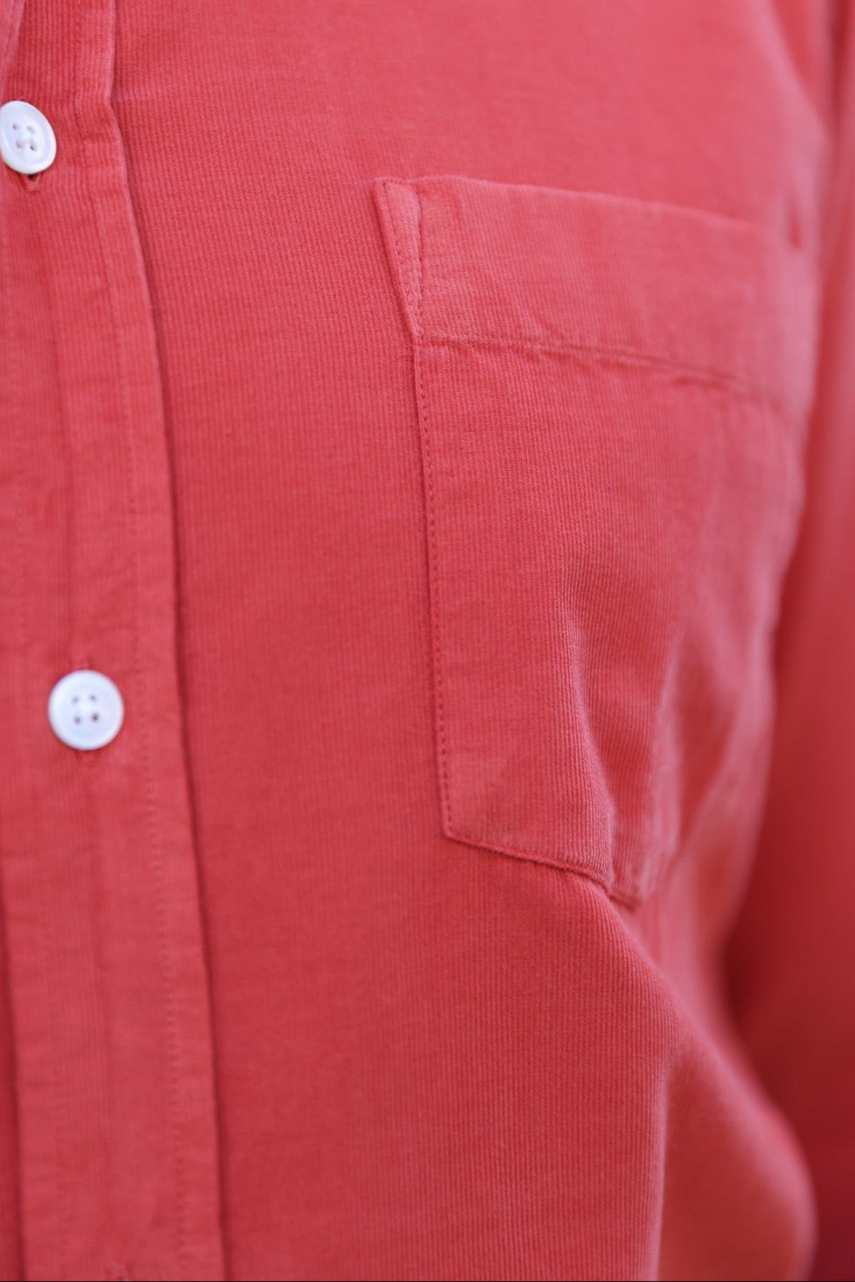 Chemise Clovis en velours milleraies - Orange-CHEMISE HOMME-Curling-Paris