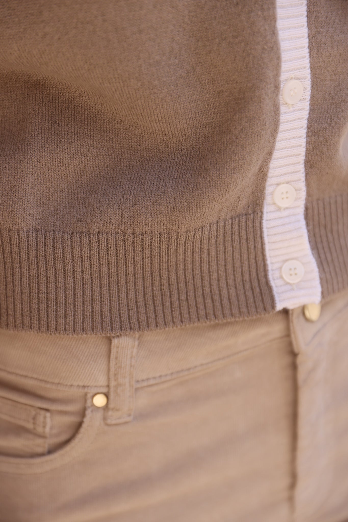 Gilet Adam à boutons Col Rond en laine et cachemire - Taupe-PULL FEMME-Curling-Paris