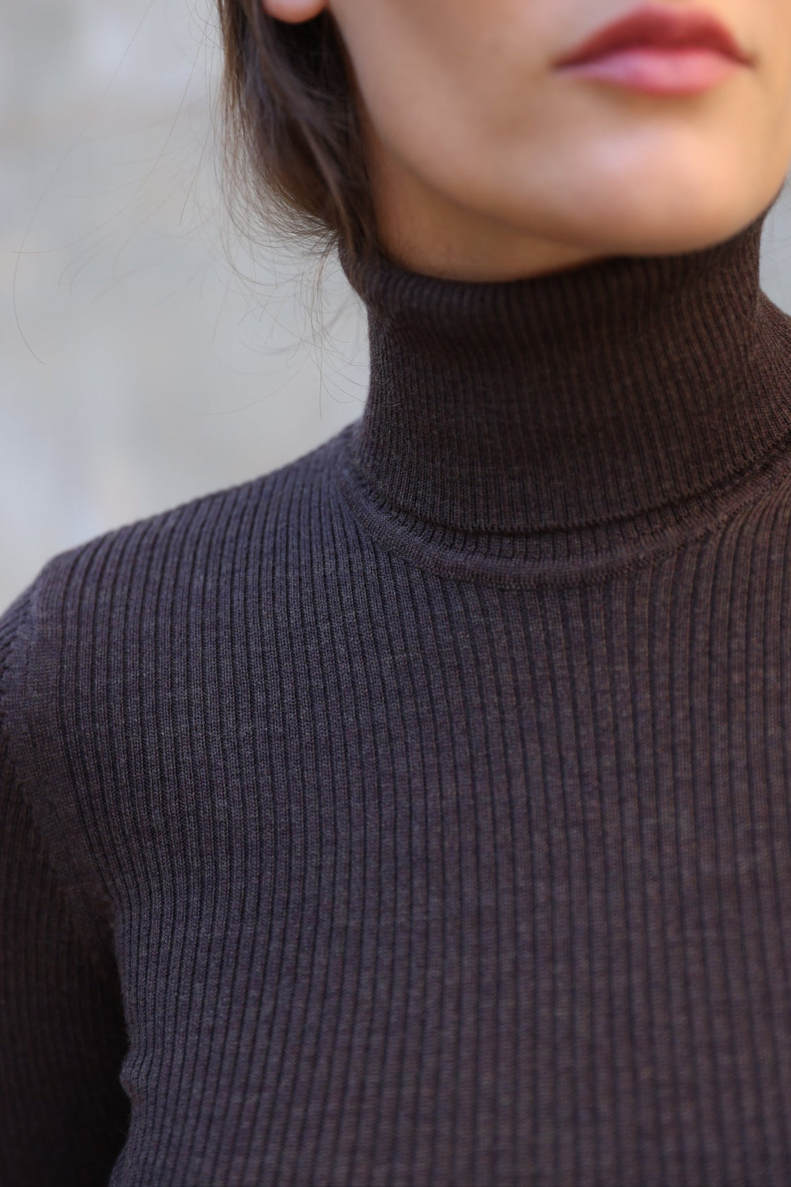 Pull col roulé Prague en laine mérinos - Marron-PULL FEMME-Curling-Paris